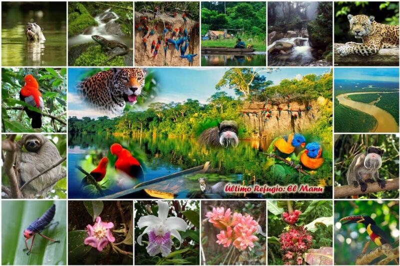 Manú Park | Paucartambo | Pilcopata 3 Days Includes Food - Key Points