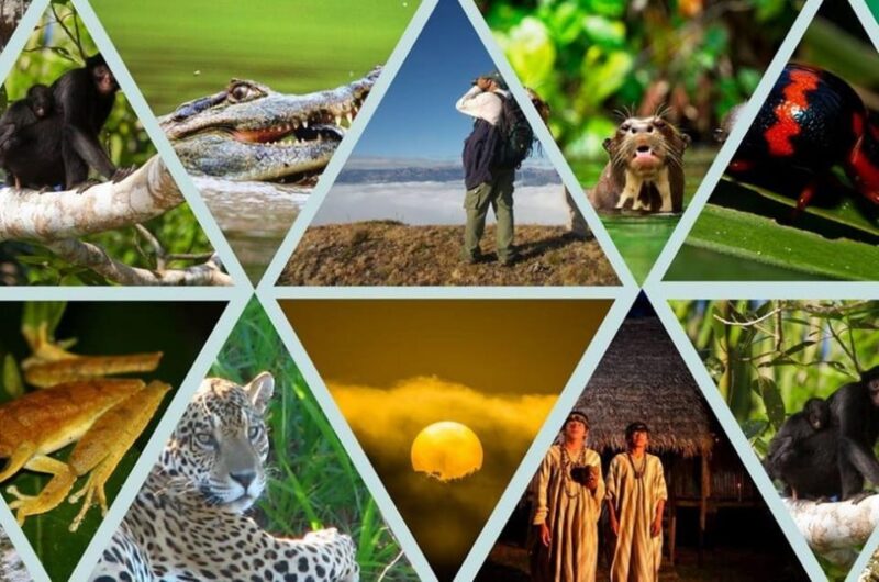 Manú Park | Paucartambo | Pilcopata 3 Days Includes Food - Included Activities