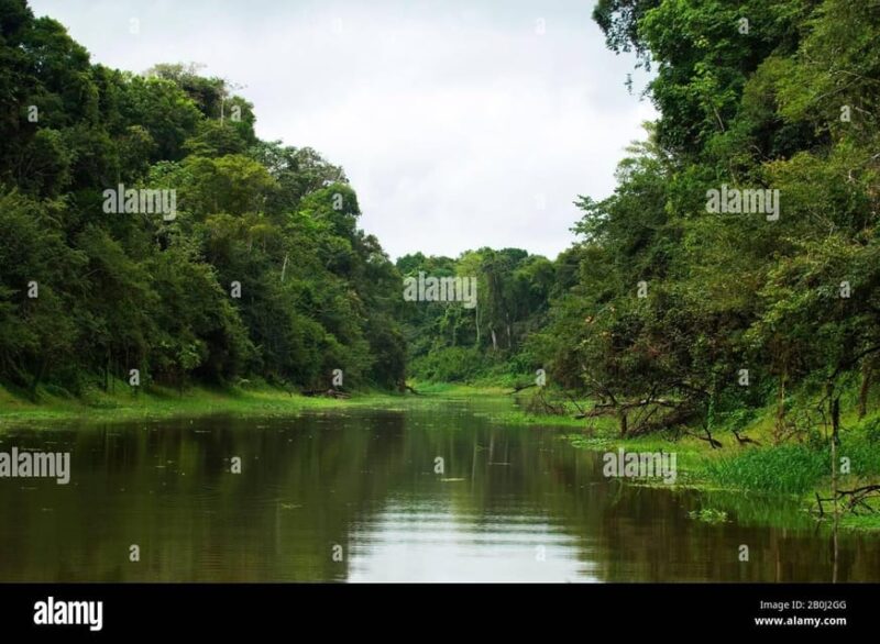 Manú Park | Paucartambo | Pilcopata 3 Days Includes Food - Accommodation Details