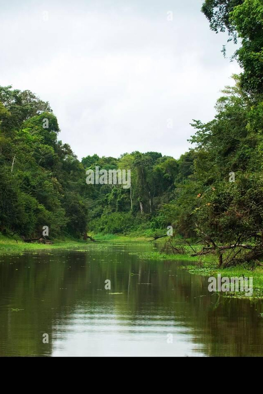 Manú Park | Paucartambo | Pilcopata 3 Days Includes Food - Booking Information