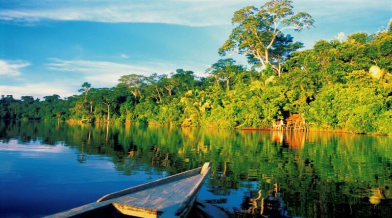 Manu Rainforest Tour 6 Days - Key Points