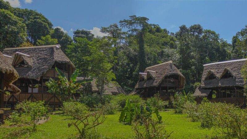 Manu Rainforest Tour 6 Days - Itinerary Highlights