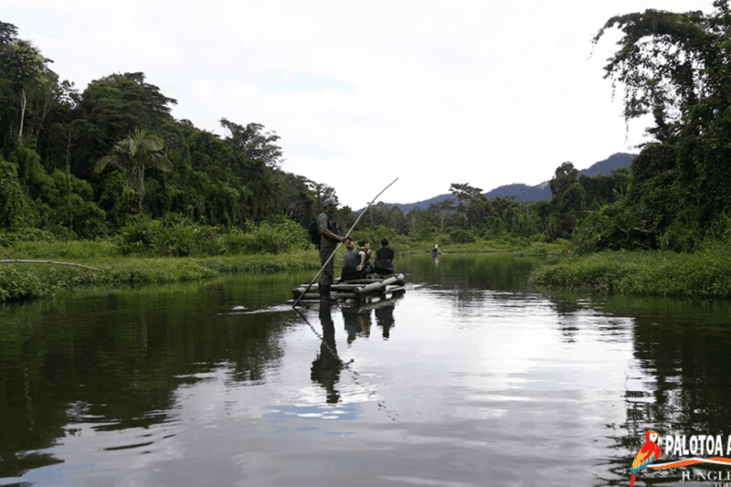 Manu Reserve and Macaw Clay Lick 7 Days - Itinerary Highlights