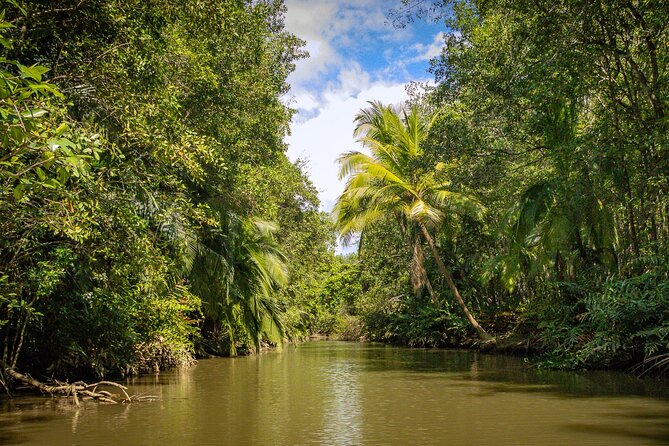 Manuel Antonio Mangrove Boat Tour - Location and Meeting Point