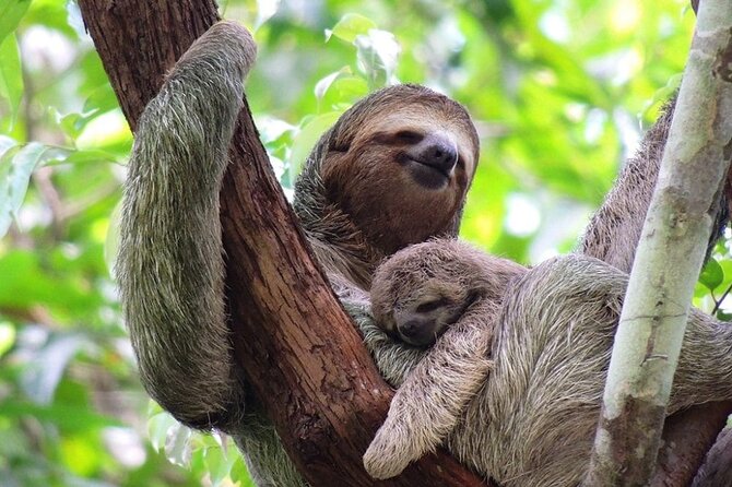 Manuel Antonio National Park - Accessibility and Additional Info
