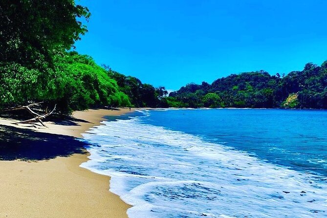 Manuel Antonio National Park - Highlights of the Tour