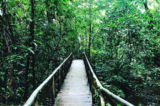 Manuel Antonio National Park - Dining and Refreshments