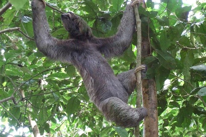 Manuel Antonio National Park - Key Points