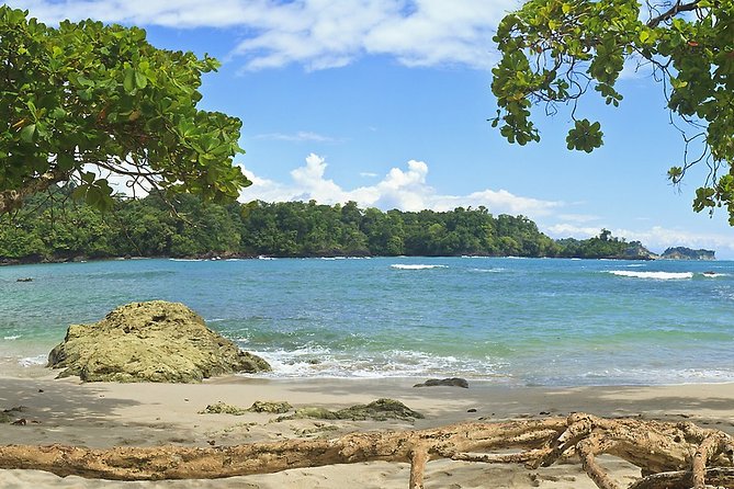 Manuel Antonio National Park Day Trip From San Jose - Wildlife Sightings