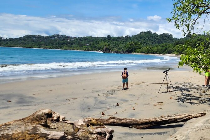 Manuel Antonio National Park Full Day Tour From San José - Inclusions