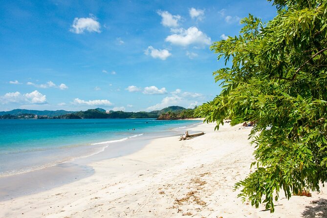 Manuel Antonio National Park Full Day Tour From San Jose - Wildlife and Nature Experience