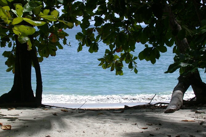 Manuel Antonio National Park Full Day Tour From San Jose - Pricing and Booking Information