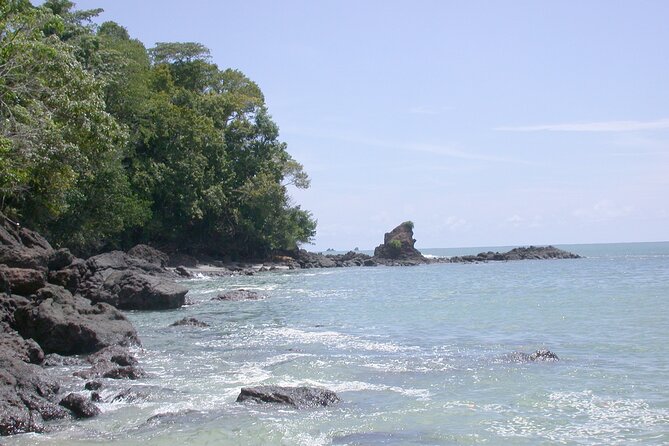 Manuel Antonio National Park Full Day Tour From San Jose - Exploring the Rainforest