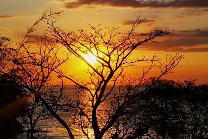 Manuel Antonio National Park Full Wildlife - Photography Tips and Gear