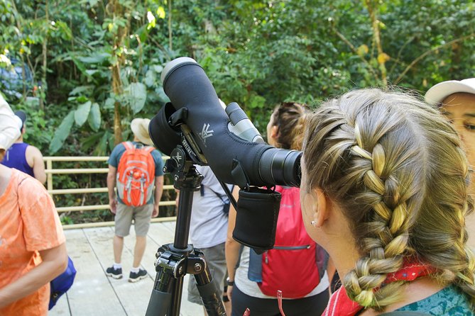 Manuel Antonio National Park Guided Tour - Tour Highlights