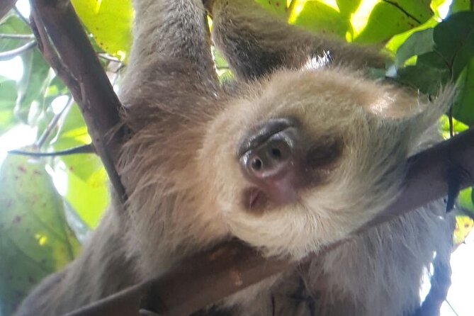 Manuel Antonio National Park Hiking Guided Tour - Personalized Concierge Services