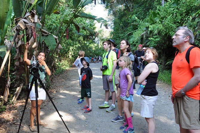 Manuel Antonio National Park Hiking Tour From Jacó - Tour Itinerary and Activities