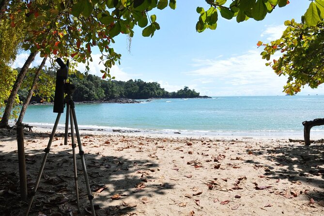 Manuel Antonio National Park Hiking Tour From Jacó - Safety and Considerations