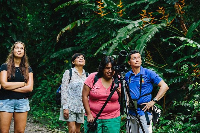 Manuel Antonio National Park Nature Walk - Nature Walk Highlights