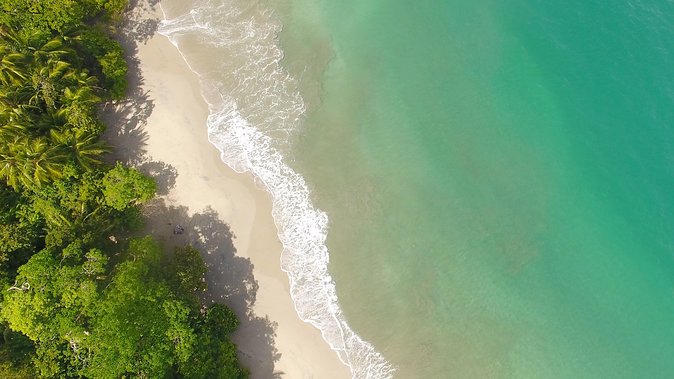 Manuel Antonio National Park Nature Walk - Tour Reviews and Ratings