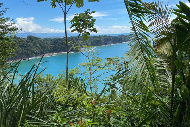 Manuel Antonio National Park, PRIVATE Day Tour From Jaco - Inclusions and Accessibility