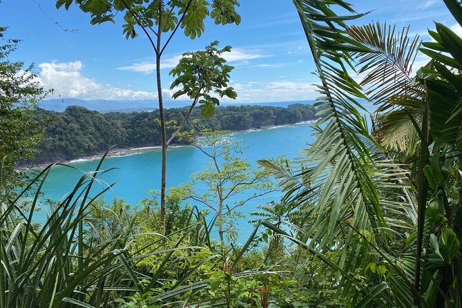 Manuel Antonio National Park, PRIVATE Day Tour From Jaco - Dining and Refreshments