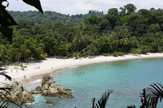 Manuel Antonio National Park Sightseeing and Wildlife Day Tour From San Jose - Itinerary and Highlights