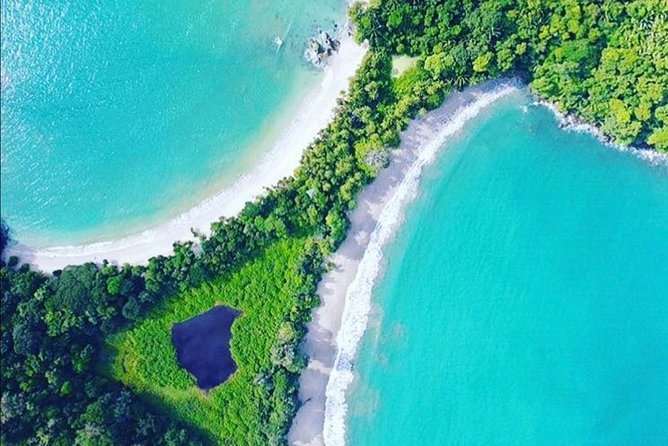 Manuel Antonio National Park Tour From San Jose. - Pricing and Booking