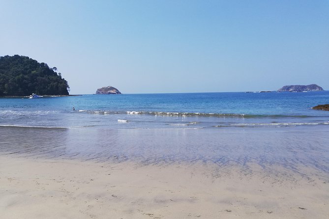 Manuel Antonio National Park Tour From San Jose. - Wildlife Sightings