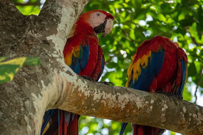 Manuel Antonio National Park (Transportation) - Accommodating Large Groups