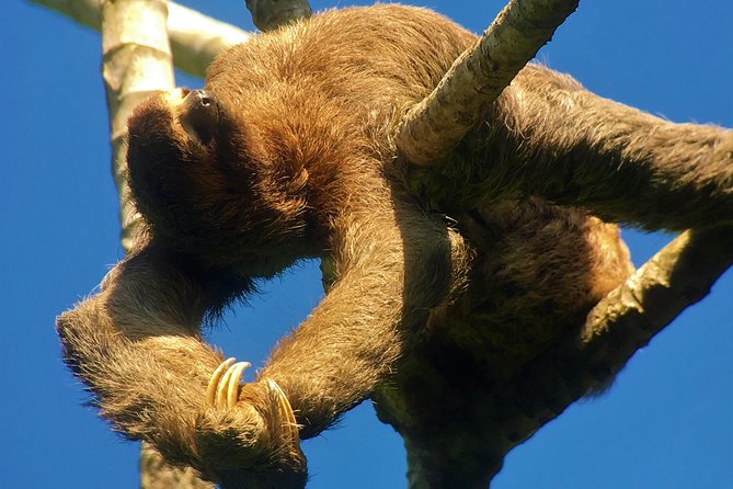 Manuel Antonio Park Tour and Its Amazing Wildlife and Beaches - Meeting and End Points