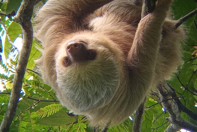 Manuel Antonio Rain Forest Park and Beach - Key Points