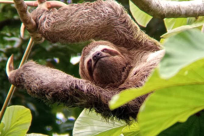 Manuel Antonio Rain Forest Park and Beach - Accessibility and Participation