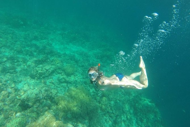 Manukan + Cattle + Mamutik + Gaya Island Trip From Kota Kinabalu - Important Information for Travelers