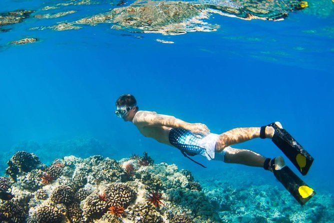 Manukan + Cattle + Mamutik + Gaya Island Trip From Kota Kinabalu - Booking Details and Reviews