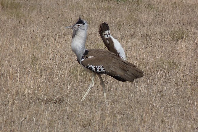 Manyara and Ngorongoro Crater - Travel Tips and Recommendations