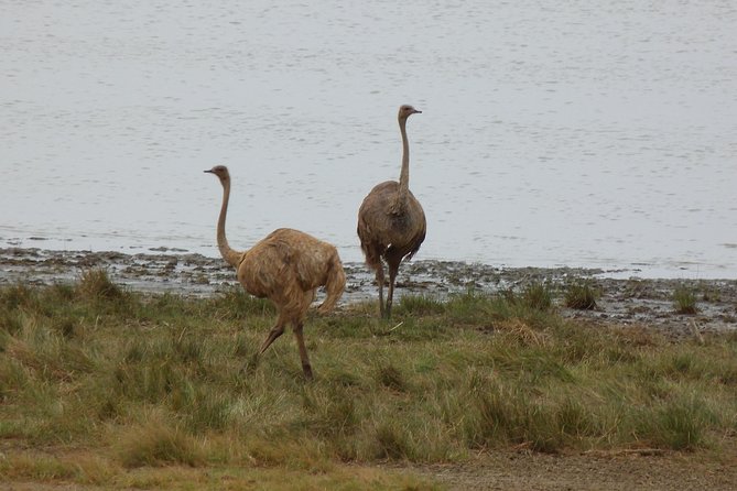 Manyara and Ngorongoro Crater - Booking and Pricing Details
