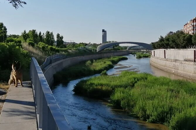 Manzanares River's Story: A Self-Guided Audio Tour in Madrid - Location and Rating