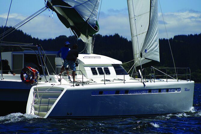 Maori Rock Carvings - Taupo Sailing Adventures -Tiua - Accessibility and Safety