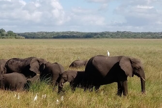 Maputo National Park (Maputo Special Reserve) Full-day Tour - Logistics
