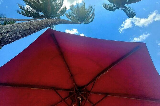 Maracas Beach Excursion & City Pass by tour - What Makes This Tour Stand Out?