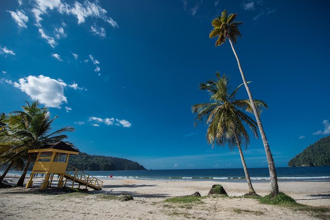 Maracas Beach Trip - Customer Feedback