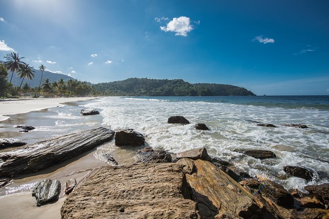 Maracas Beach Trip - Local Cuisine