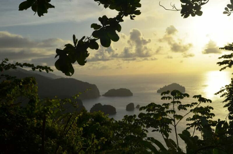 Maracas: Day Trip to Maracas Beach from Port of Spain - Key Points