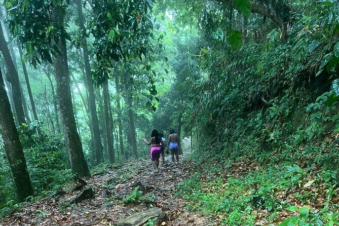 Maracas Waterfall - The Value of the Experience