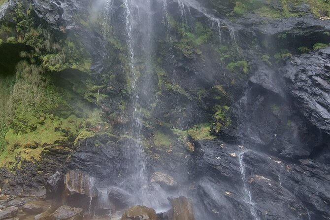 Maracas Waterfall Hike - About Your Stay