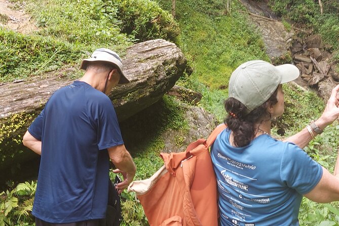 Maracas Waterfall Hike - Guided Tour Experience