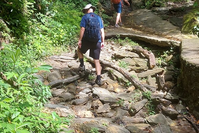 Maracas Waterfall Hike - Convenient Transportation and Pickup