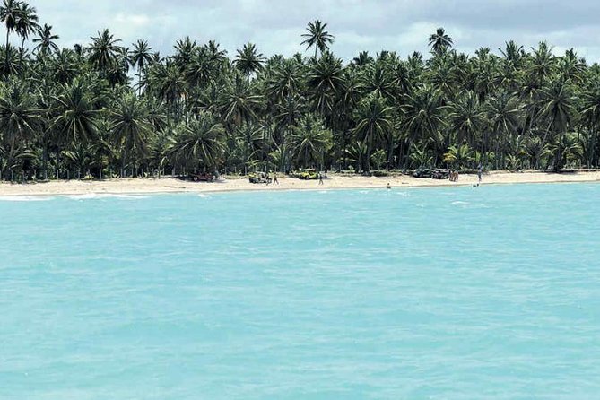 Maragogi Beach From Maceió - Full Day - Indulge in Optional Activities