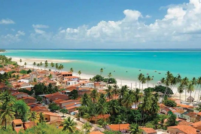 Maragogi Beach From Maceió - Full Day - Comfortable Transportation and Accessibility